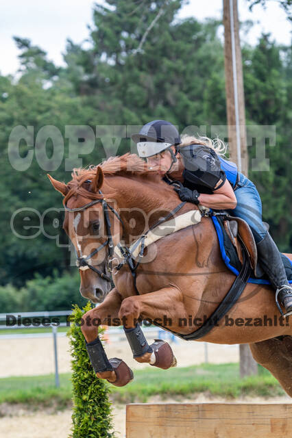 Hunter Geländetraining 10.07.2021 (Sonsbeck)