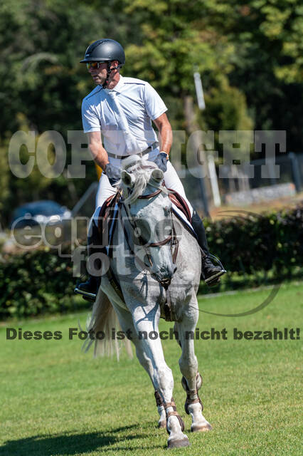 Kronenberg - De Peelbergen (August 2020)