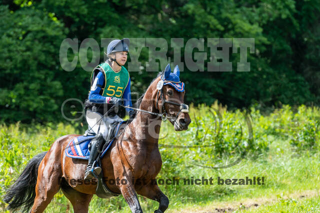 Westerstede Horse Trials (10.-13.06.2021)