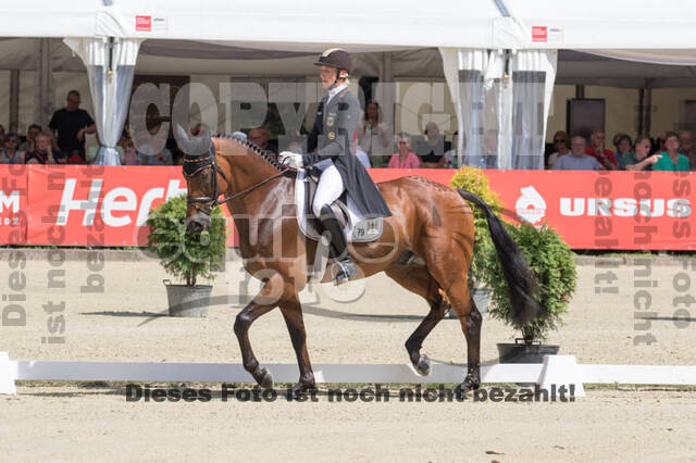 FEI European Championship Eventing 2017