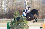 Eventing Langenfeld 2018