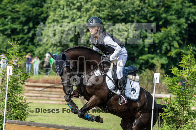 Goldene Schärpe 2021 - Ponys