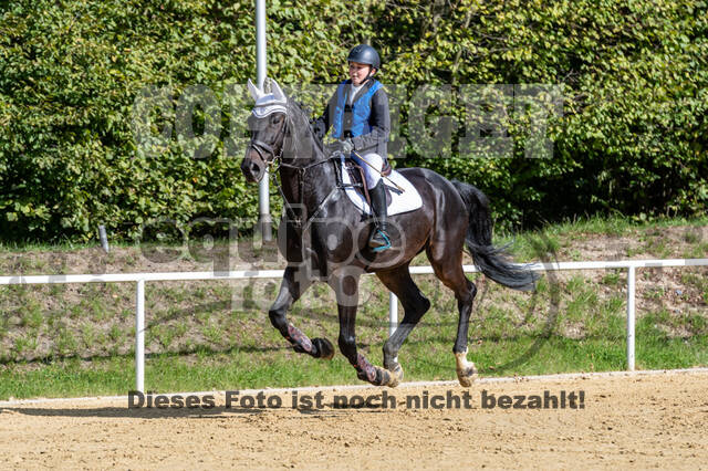RFV Dinslaken-Hiesfeld (Herbstturnier)