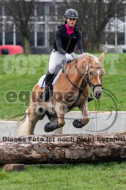 Goldene Schärpe 2020 - Pferde