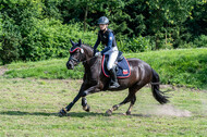 Goldene Schärpe 2021 - Ponys