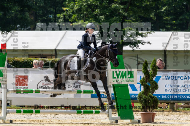 Goldene Schärpe 2021 - Ponys