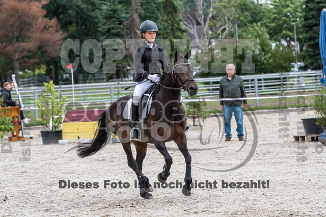 Late-Entry-Vielseitigkeit Langenfeld (06.+07.07.2020)