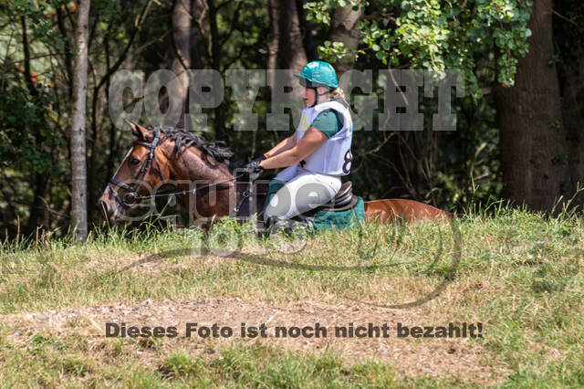 Late-Entry Vielseitigkeit Hamminkeln/Wesel (01.+02.08.2020)