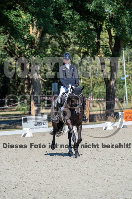 Kronenberg - De Peelbergen (August 2020)