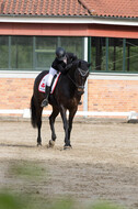 Eventing WRFS Münster