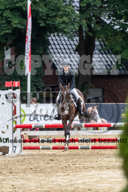 Goldene Schärpe 2021 - Ponys