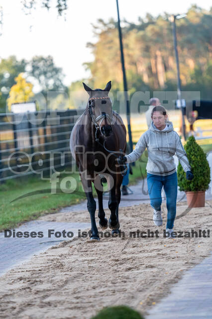 Deutsche Meisterschaft Vielseitigkeit (Luhmühlen)