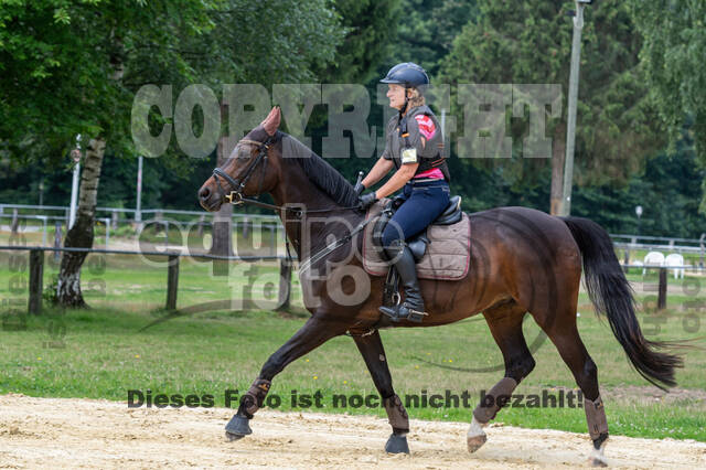 Hunter Geländetraining 10.07.2021 (Sonsbeck)