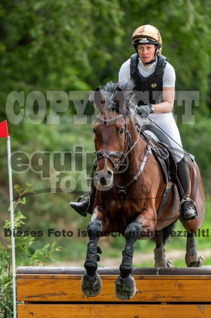 Late-Entry-Vielseitigkeit Langenfeld (06.+07.07.2020)