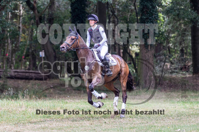 Late-Entry Vielseitigkeit Hamminkeln/Wesel (01.+02.08.2020)