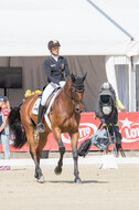 FEI European Championship Eventing 2017