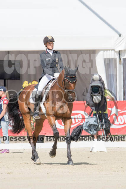 FEI European Championship Eventing 2017