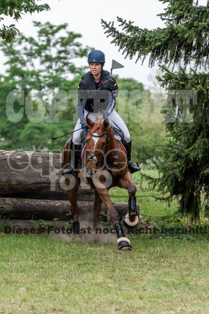 Late-Entry-Vielseitigkeit Langenfeld (11.+13./14.06.2020)
