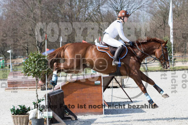Eventing Langenfeld 2018