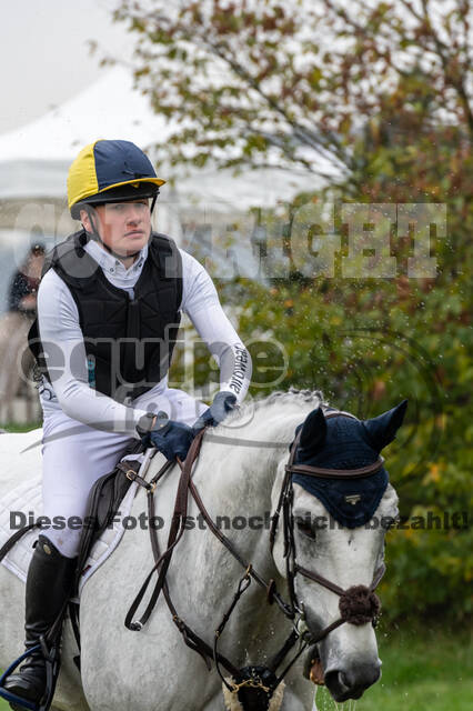 Goldene Schärpe 2020 - Pferde