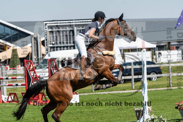 Kronenberg - De Peelbergen (August 2020)