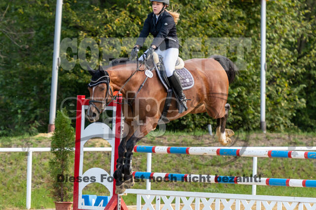 RFV Dinslaken-Hiesfeld (Herbstturnier)