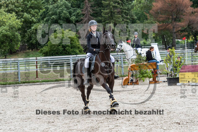 Late-Entry-Vielseitigkeit Langenfeld (06.+07.07.2020)