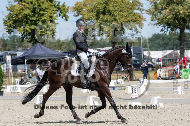 Kronenberg - De Peelbergen (August 2020)