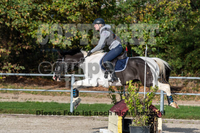 IGV Lehrgang der Sieger der Cups mit Frank Ostholt