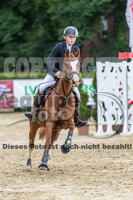 Goldene Schärpe 2021 - Ponys