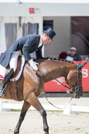 European Championship Eventing 2017