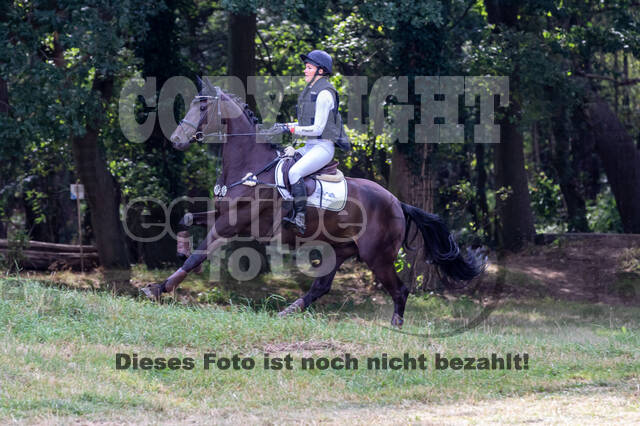 Late-Entry Vielseitigkeit Hamminkeln/Wesel (01.+02.08.2020)