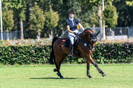 Kronenberg - De Peelbergen (August 2020)