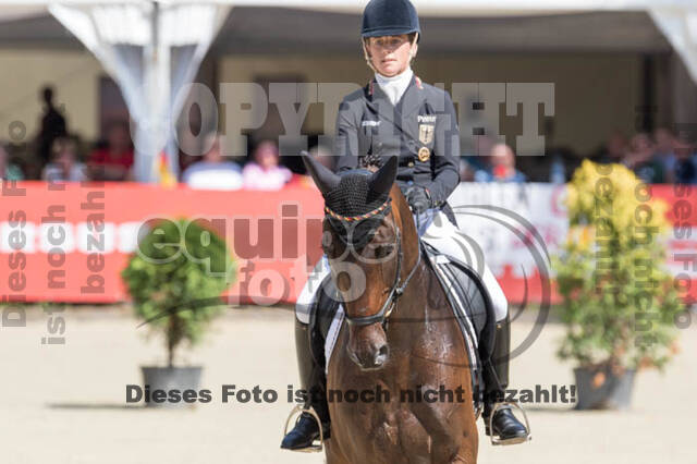 FEI European Championship Eventing 2017