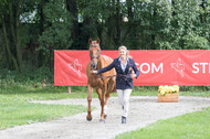 FEI European Championship Eventing 2017