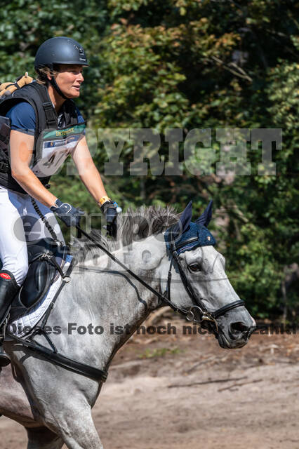 De Peelbergen (August 2020)