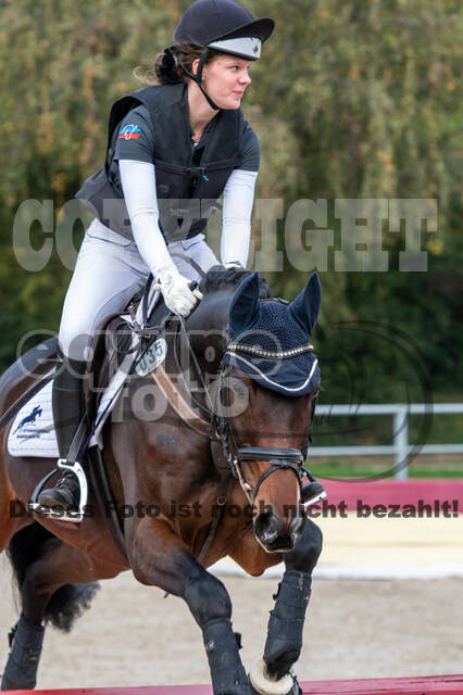 Goldene Schärpe 2020 - Pferde