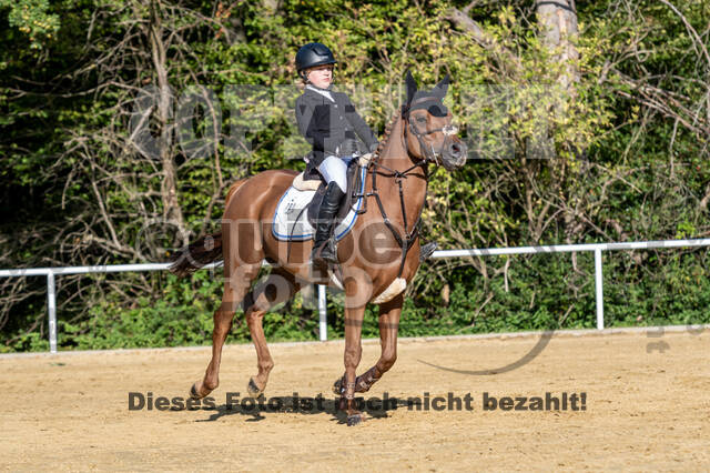 RFV Dinslaken-Hiesfeld (Herbstturnier)