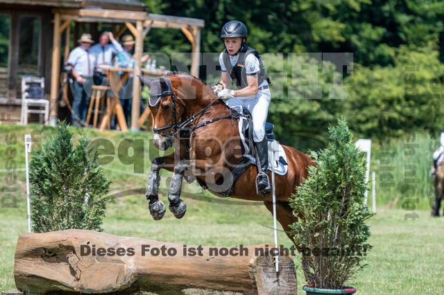 Goldene Schärpe 2021 - Ponys