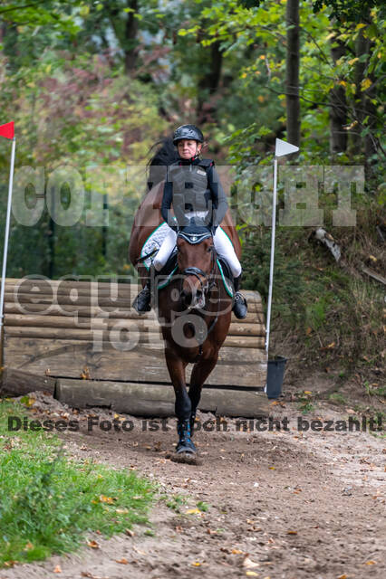 Goldene Schärpe 2020 - Pferde