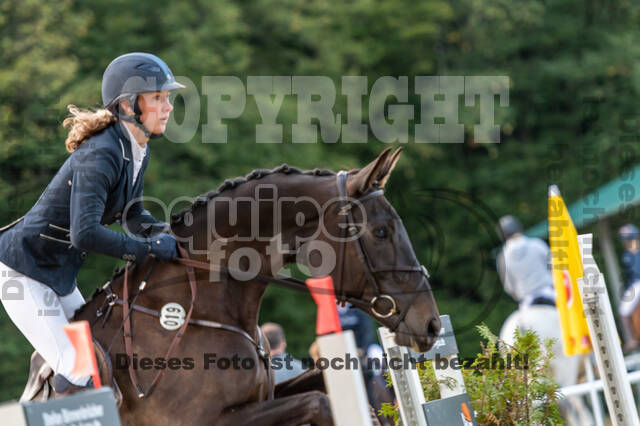 RFV Dinslaken-Hiesfeld (Herbstturnier)
