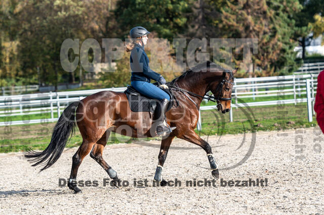 IGV Lehrgang der Sieger der Cups mit Frank Ostholt