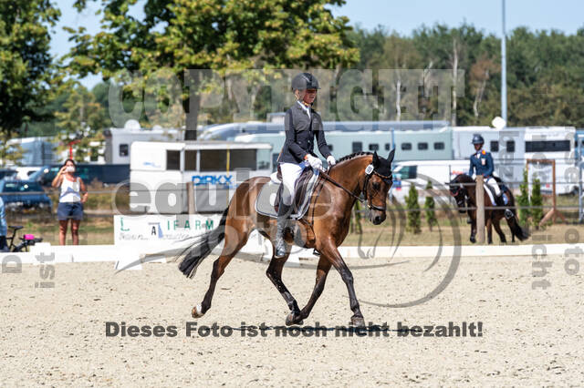 Kronenberg - De Peelbergen (August 2020)