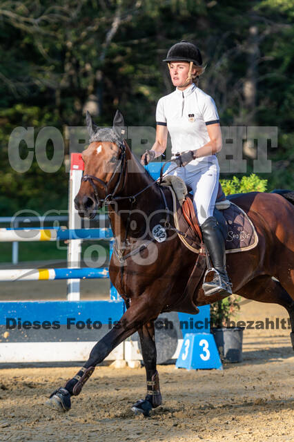 RFV Dinslaken-Hiesfeld (Herbstturnier)