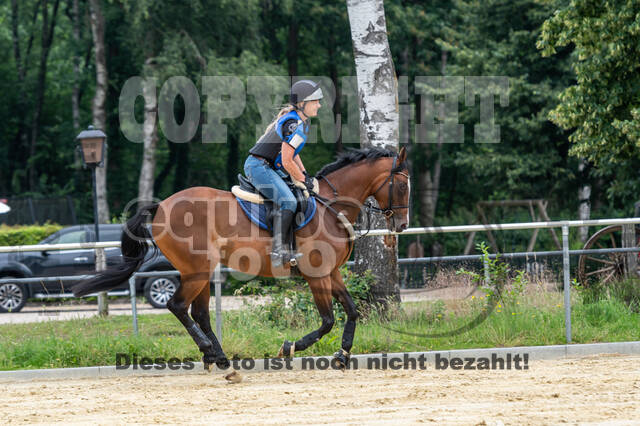 Hunter Geländetraining 10.07.2021 (Sonsbeck)