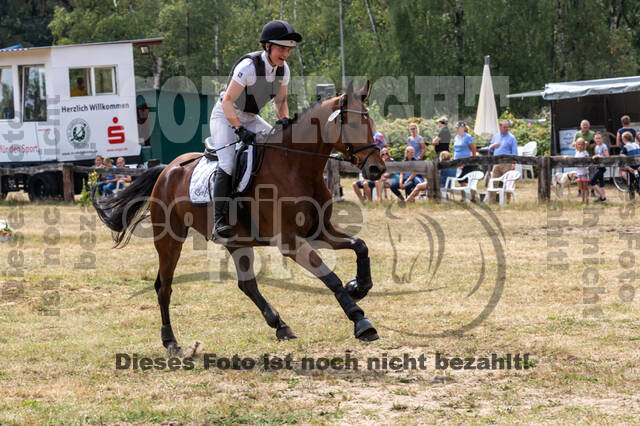 Late-Entry Vielseitigkeit Hamminkeln/Wesel (01.+02.08.2020)
