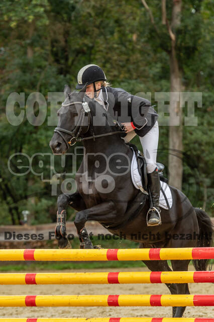 Vielseitigkeit RSV Wesel Obrighoven (26.+27.09.2020)