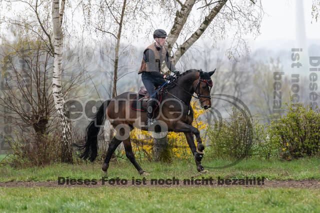 Berufsreiter Late Entry Gahlen 2021