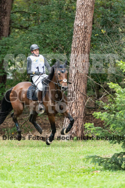 Vielseitigkeit RSV Wesel Obrighoven (26.+27.09.2020)