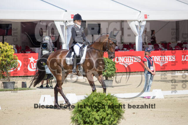FEI European Championship Eventing 2017